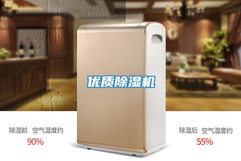 優質好色先生在线播放