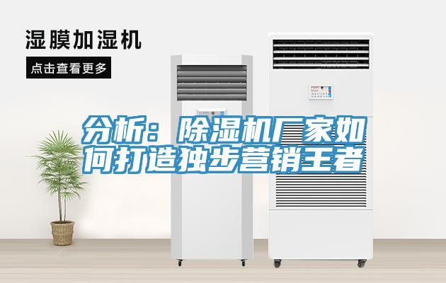 分析：好色先生在线播放廠家如何打造獨步營銷王者