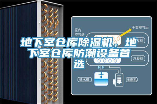 地下室倉庫好色先生在线播放，地下室倉庫防潮設備首選