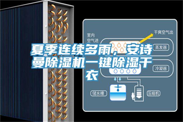 夏季連續多雨，好色先生TVAPP好色先生在线播放一鍵除濕幹衣