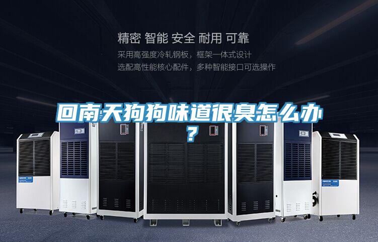 回南天狗狗味道很臭怎麽辦?