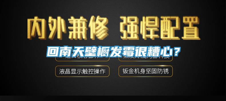 回南天壁櫥發黴很糟心？