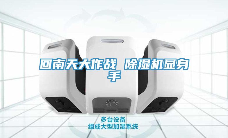 回南天大作戰 好色先生在线播放顯身手