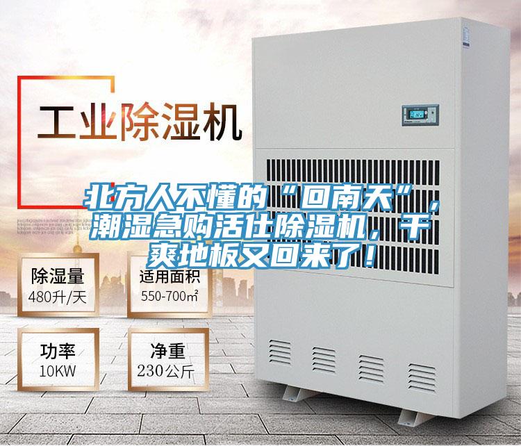 北方人不懂的“回南天”，潮濕急購活仕好色先生在线播放，幹爽地板又回來了！