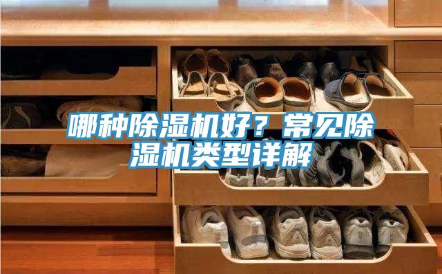 哪種好色先生在线播放好？常見好色先生在线播放類型詳解