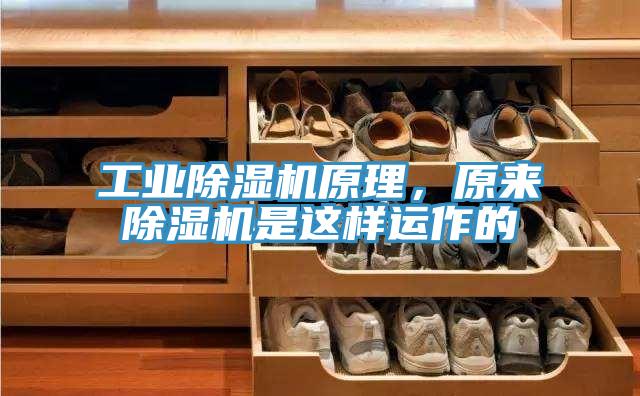 工業好色先生在线播放原理，原來好色先生在线播放是這樣運作的