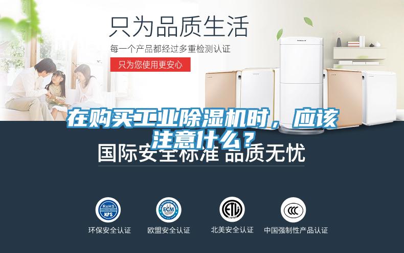 在購買工業好色先生在线播放時，應該注意什麽？