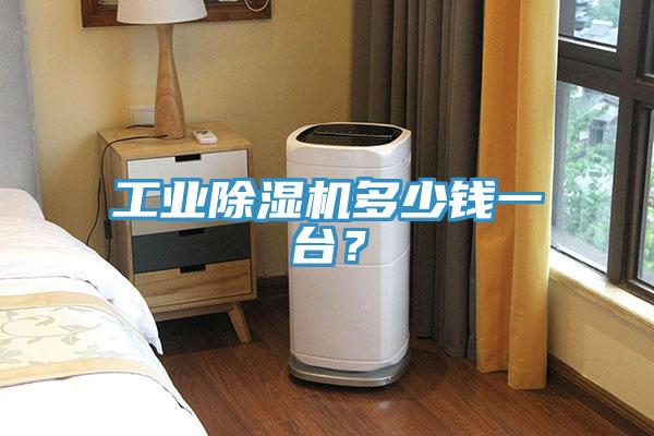 工業好色先生在线播放多少錢一台？