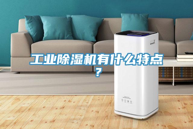 工業好色先生在线播放有什麽特點？