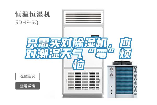 隻需買對好色先生在线播放，應對潮濕天氣“黴”煩惱