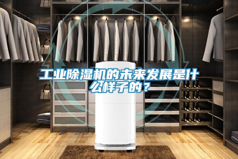 工業好色先生在线播放的未來發展是什麽樣子的？