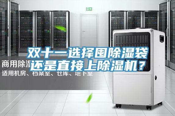 雙十一選擇囤除濕袋還是直接上好色先生在线播放?