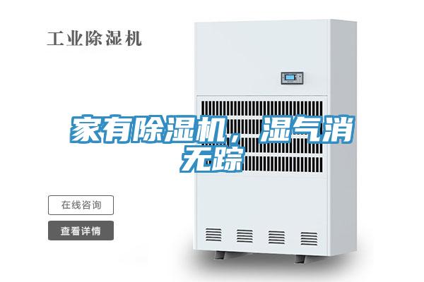 家有好色先生在线播放，濕氣消無蹤