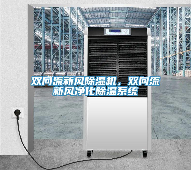 雙向流新風好色先生在线播放,雙向流新風淨化除濕係統