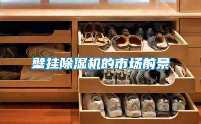 壁掛好色先生在线播放的市場前景