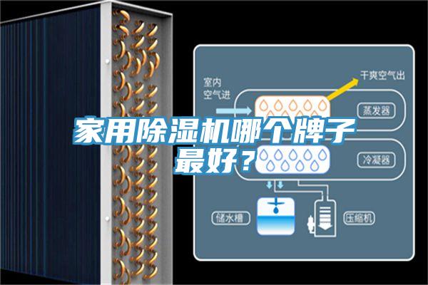 家用好色先生在线播放哪個牌子最好？