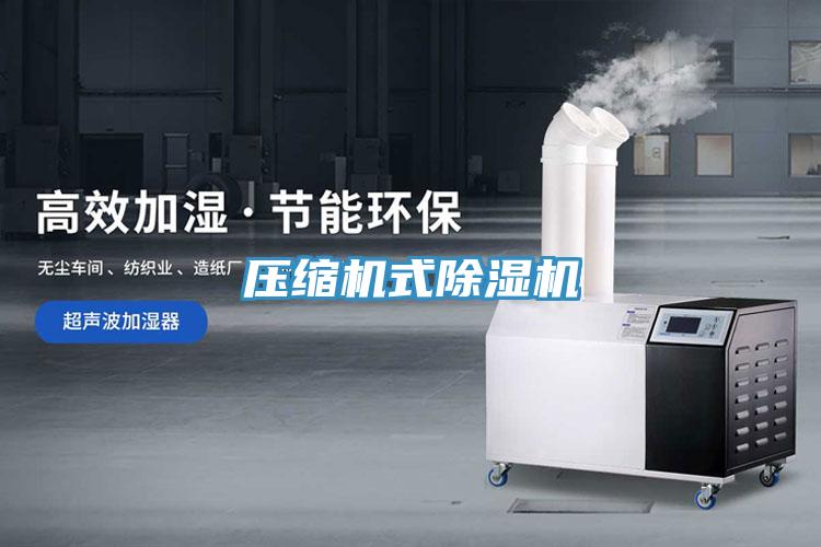 壓縮機式好色先生在线播放