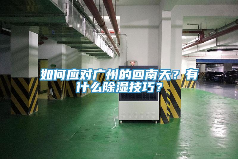 如何應對廣州的回南天？有什麽除濕技巧？