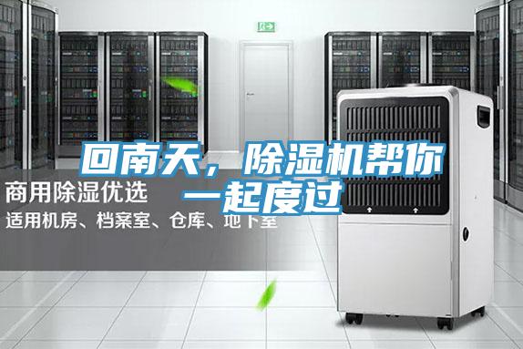 回南天，好色先生在线播放幫你一起度過