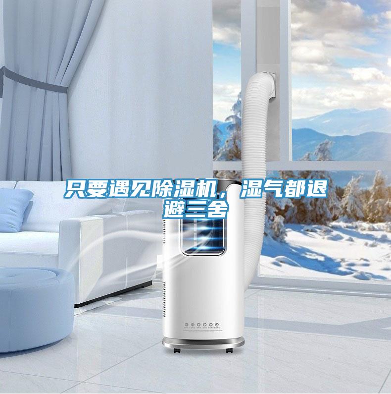 隻要遇見好色先生在线播放,濕氣都退避三舍