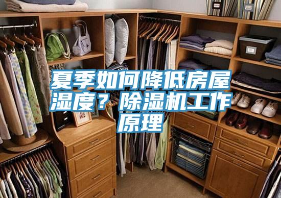 夏季如何降低房屋濕度？好色先生在线播放工作原理