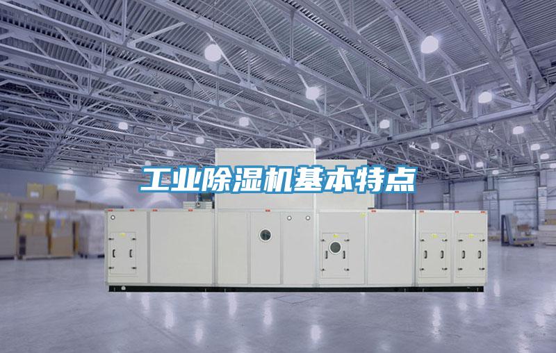 工業好色先生在线播放基本特點