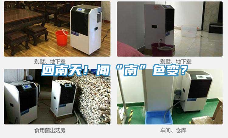 回南天！聞“南”色變？