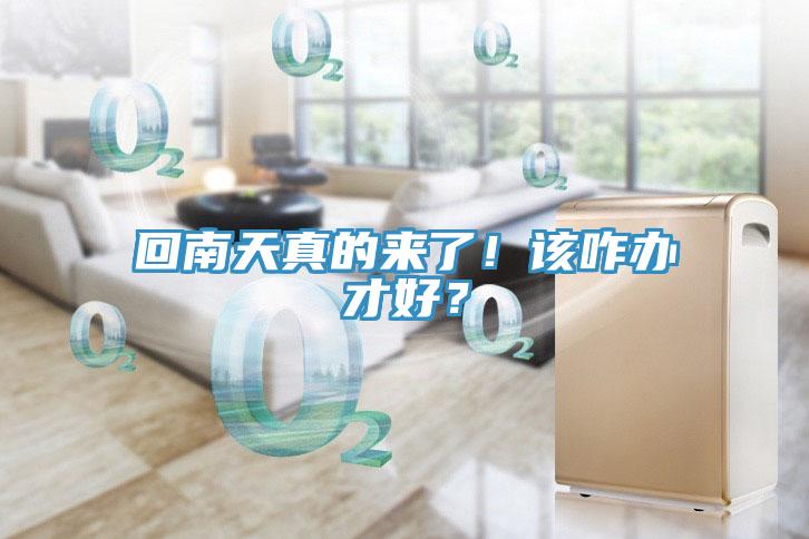 回南天真的來了！該咋辦才好？
