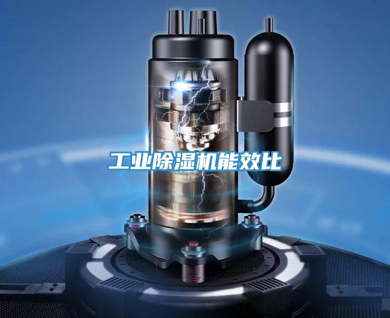 工業好色先生在线播放能效比