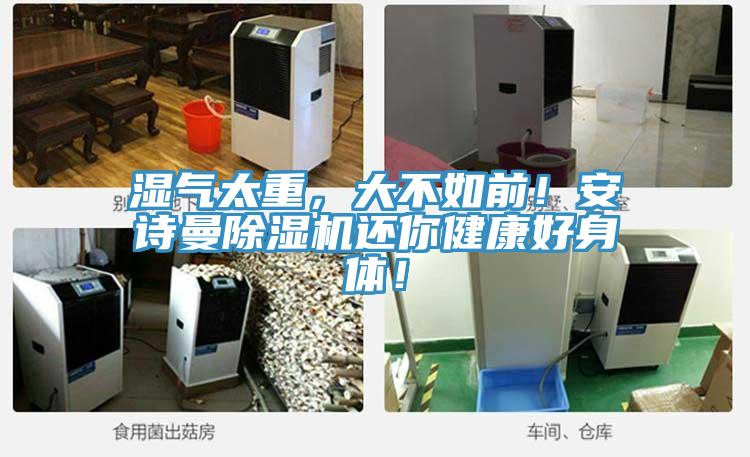 濕氣太重，大不如前！好色先生TVAPP好色先生在线播放還你健康好身體！