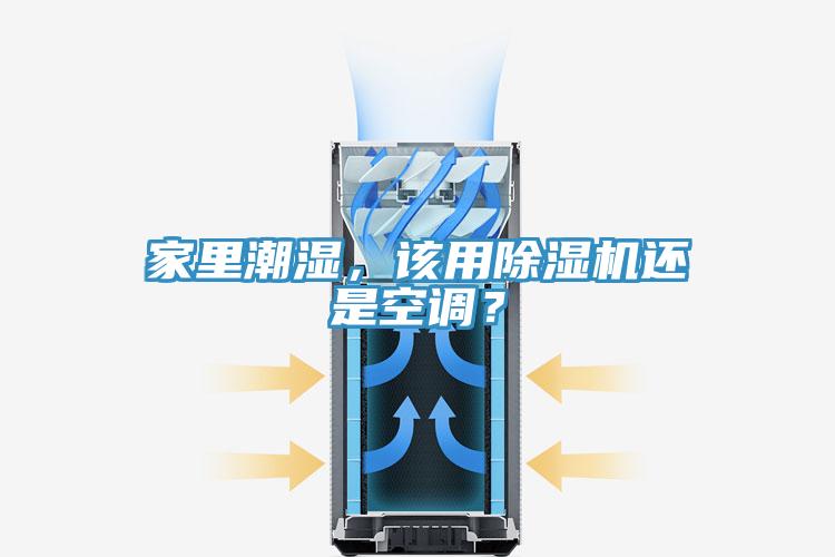 家裏潮濕，該用好色先生在线播放還是空調？