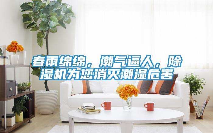 春雨綿綿，潮氣逼人，好色先生在线播放為您消滅潮濕危害