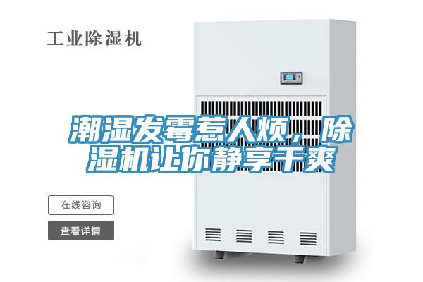 潮濕發黴惹人煩，好色先生在线播放讓你靜享幹爽