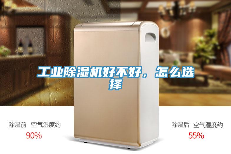 工業好色先生在线播放好不好，怎麽選擇