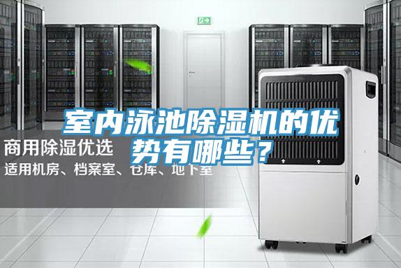 室內泳池好色先生在线播放的優勢有哪些？