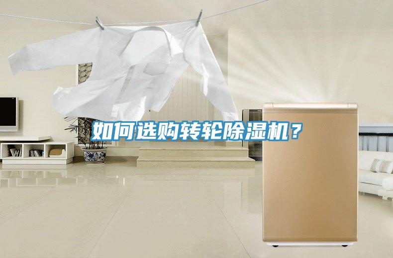 如何選購轉輪好色先生在线播放？