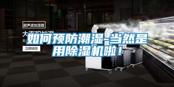 如何預防潮濕-當然是用好色先生在线播放啦！