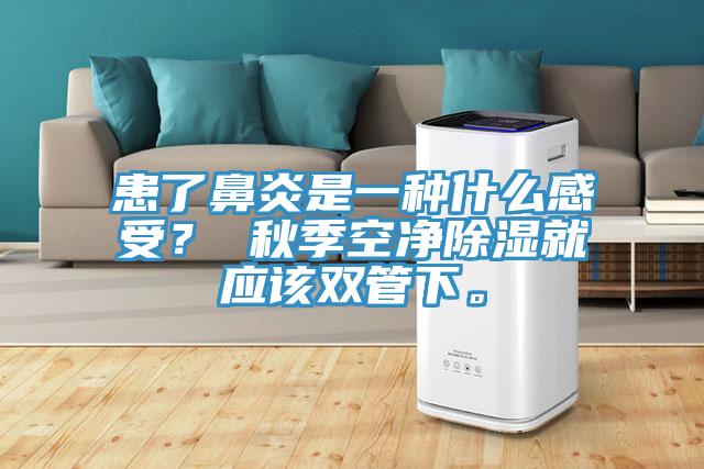 患了鼻炎是一種什麽感受？ 秋季空淨除濕就應該雙管下。