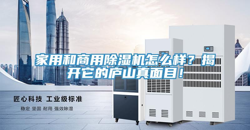 家用和商用好色先生在线播放怎麽樣？揭開它的廬山真麵目！