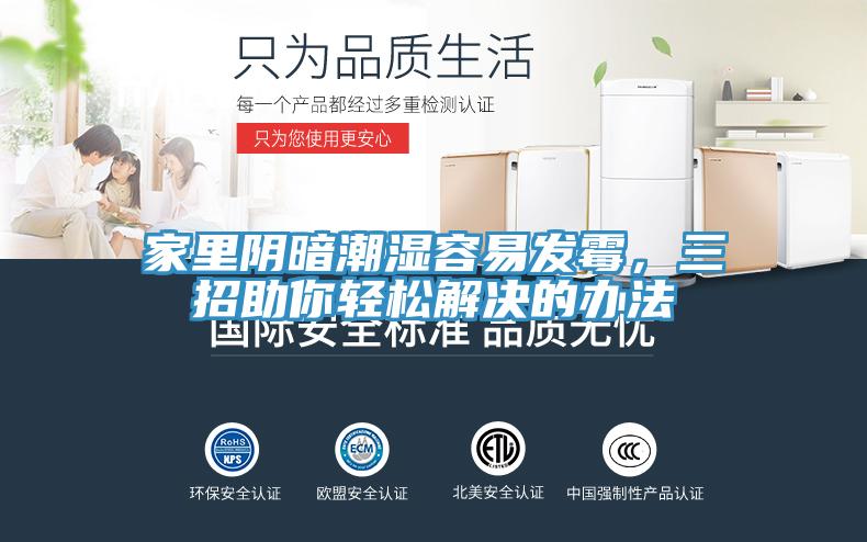 家裏陰暗潮濕容易發黴，三招助你輕鬆解決的辦法