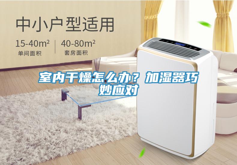 室內幹燥怎麽辦？加濕器巧妙應對