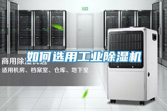 如何選用工業好色先生在线播放