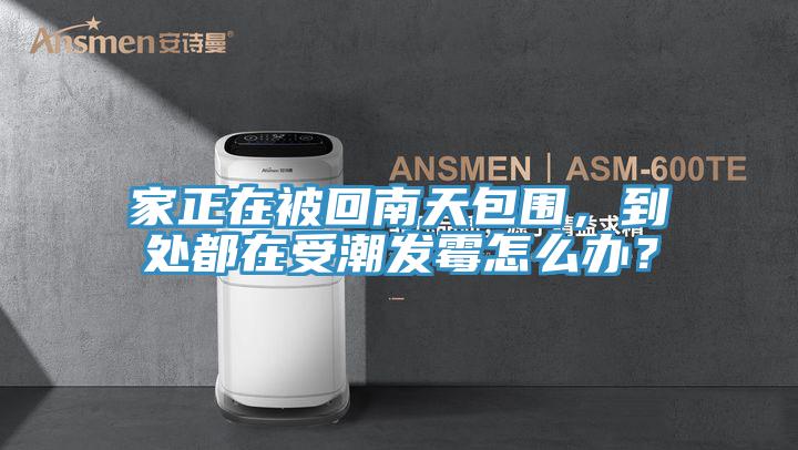 家正在被回南天包圍，到處都在受潮發黴怎麽辦？