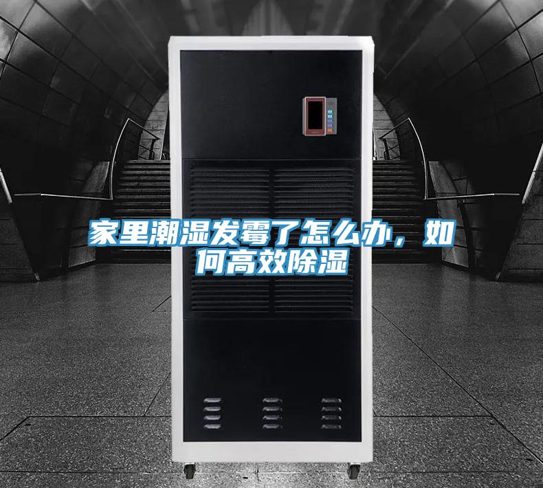 家裏潮濕發黴了怎麽辦，如何高效除濕