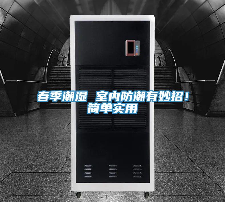 春季潮濕 室內防潮有妙招！簡單實用