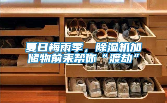 夏日梅雨季，好色先生在线播放加儲物前來幫你“渡劫”