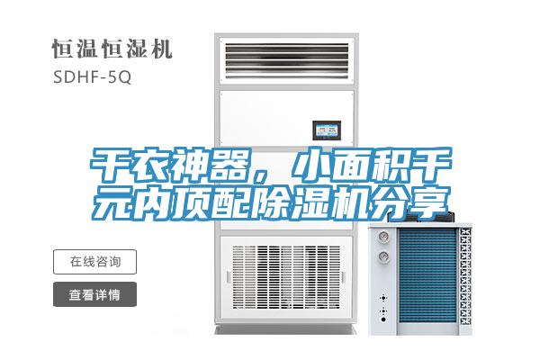 幹衣神器，小麵積千元內頂配好色先生在线播放分享