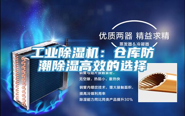 工業好色先生在线播放：倉庫防潮除濕高效的選擇