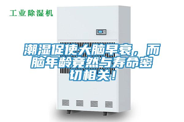 潮濕促使大腦早衰，而腦年齡竟然與壽命密切相關！