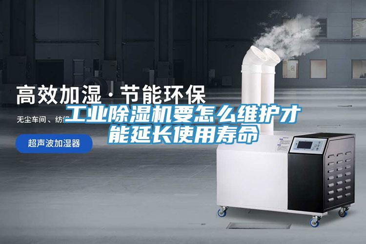 工業好色先生在线播放要怎麽維護才能延長使用壽命